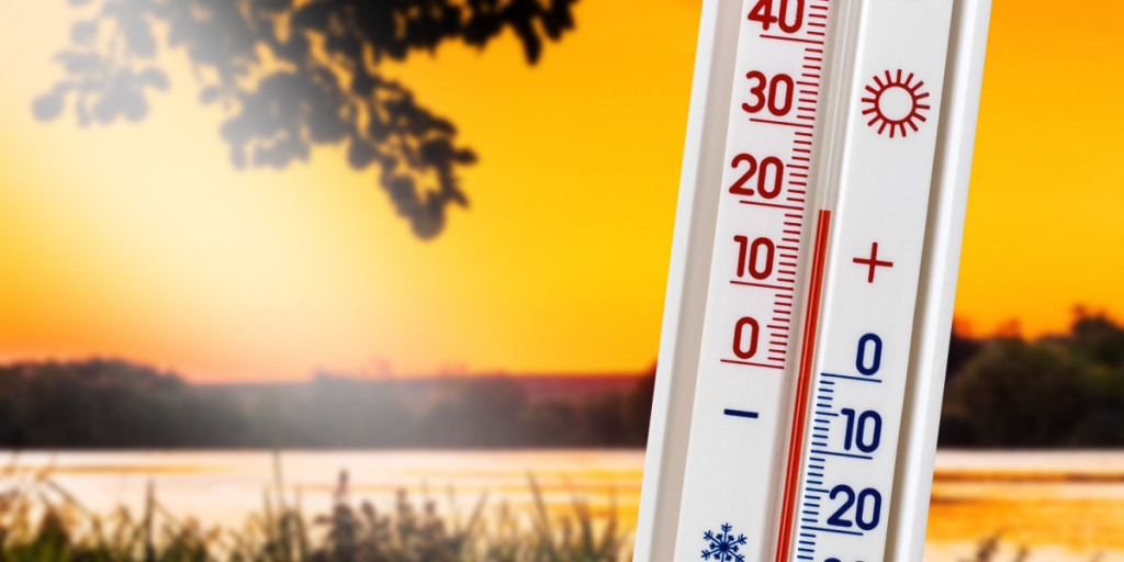 Lækkert vejr i sigte: Her får vi over 20 grader