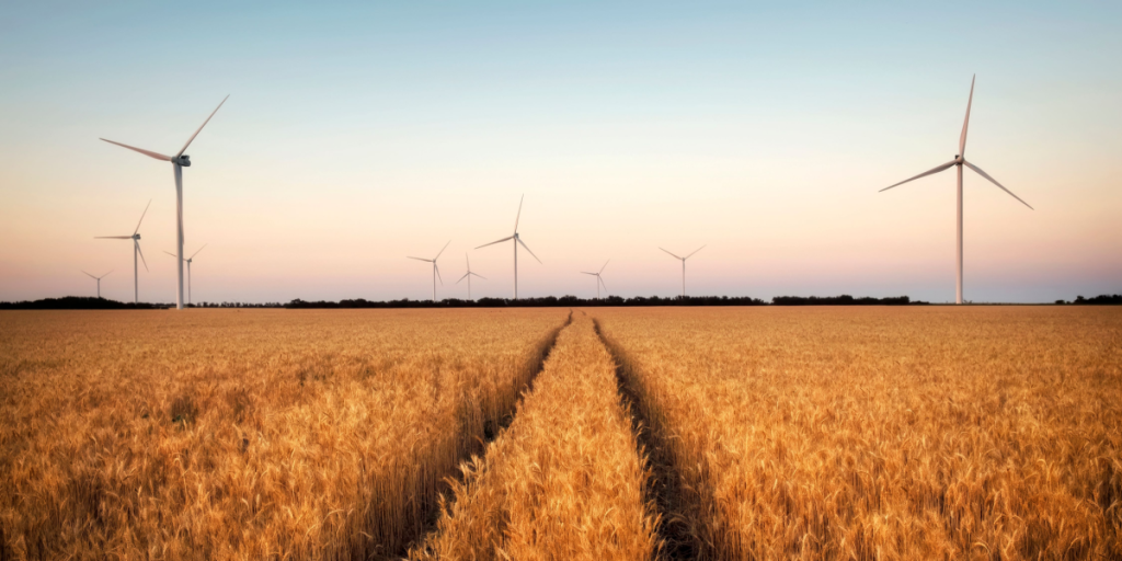 Landdistrikternes plan: Sådan kan den vedvarende energi firdobles på landet
