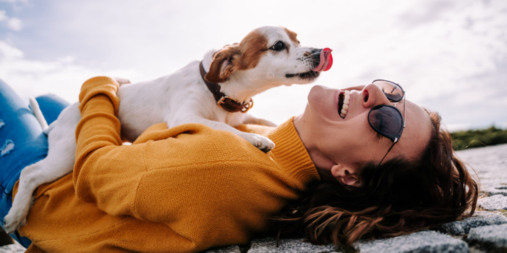 Her er tjeklisten til dig, der overvejer at få hund