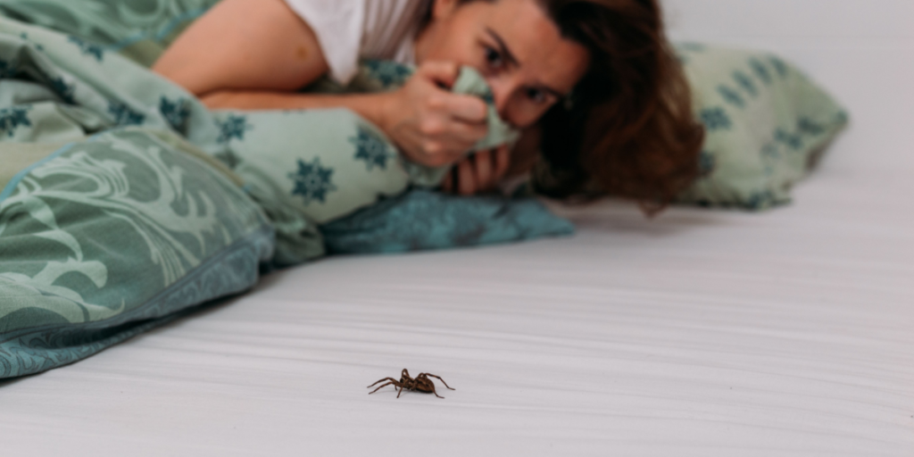 Forskerne har undersøgt det: Så mange edderkopper spiser vi, når vi sover
