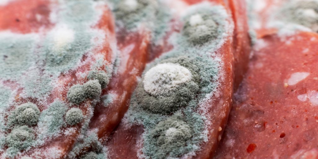 Dødelig superbakterie fundet i kød i supermarkeder