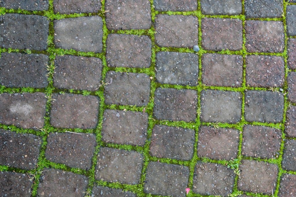 Billig og let metode som alternativ til højtryksrenser – sådan renser du terrassen