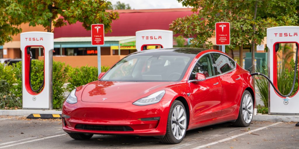 Teslaejer: Elsker Tesla, undtaget dette overraskende problem