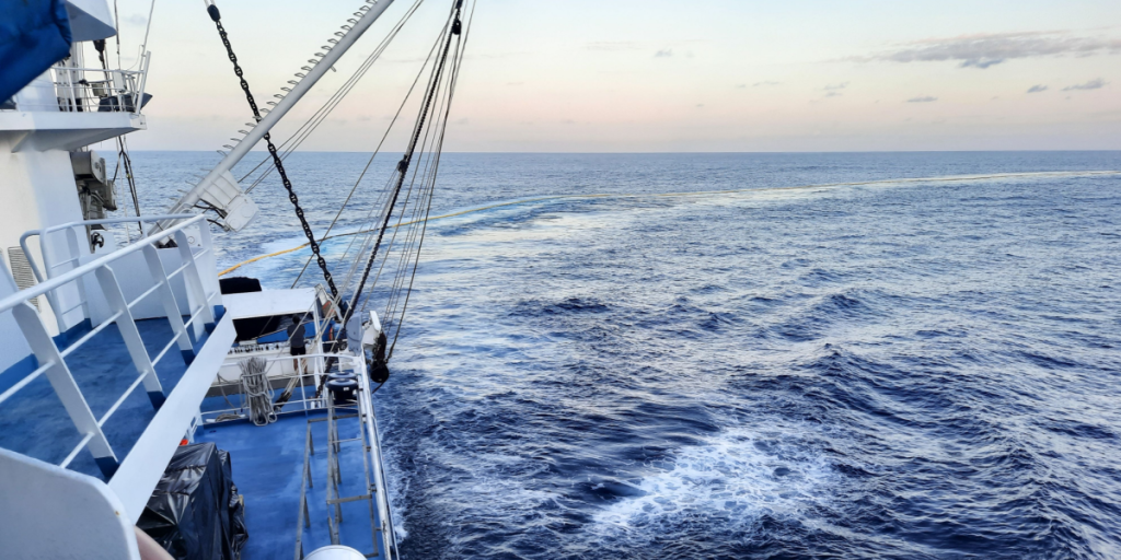 Virkelighedens Robinson Crusoe: Mand og hund overlevede i 3 måneder på havet af rå fisk og regnvand