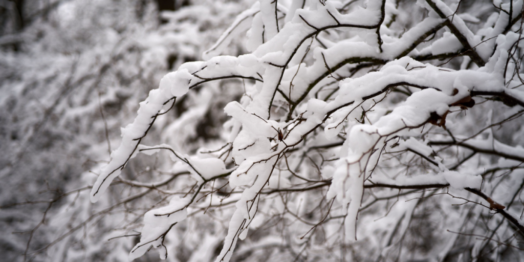 Op til 10 centimeter: Mere sne på vej til Danmark