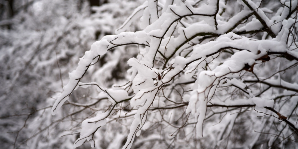 Op til 10 centimeter: Mere sne på vej til Danmark