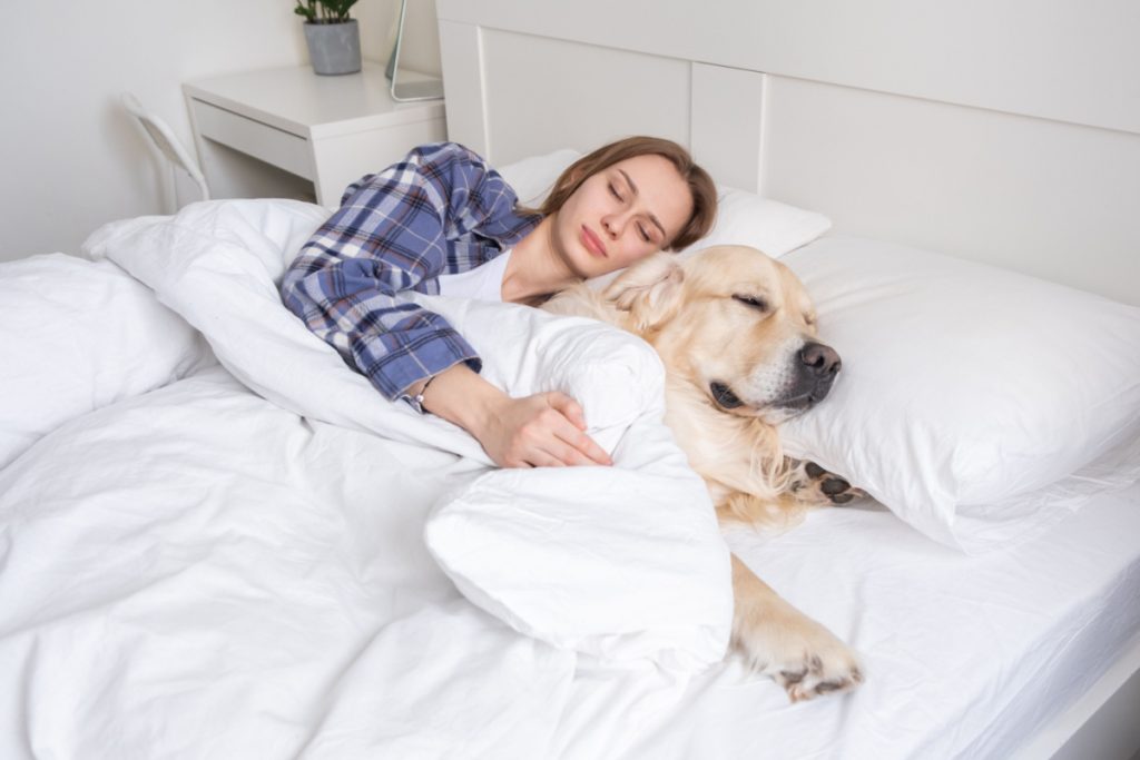Advarsel til hundeejere: Derfor bør du IKKE dele seng med din hund lige nu