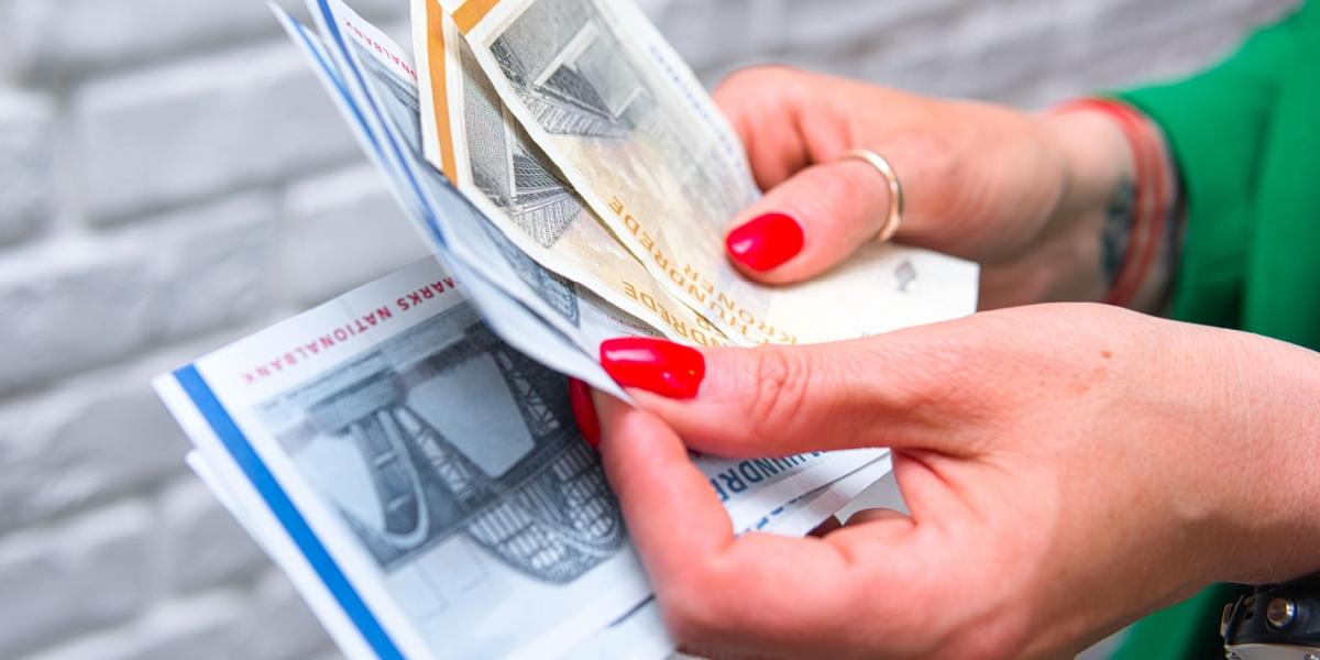 Tjekker du mit.dk? Det kan koste dig over 100.000 kroner at glemme det
