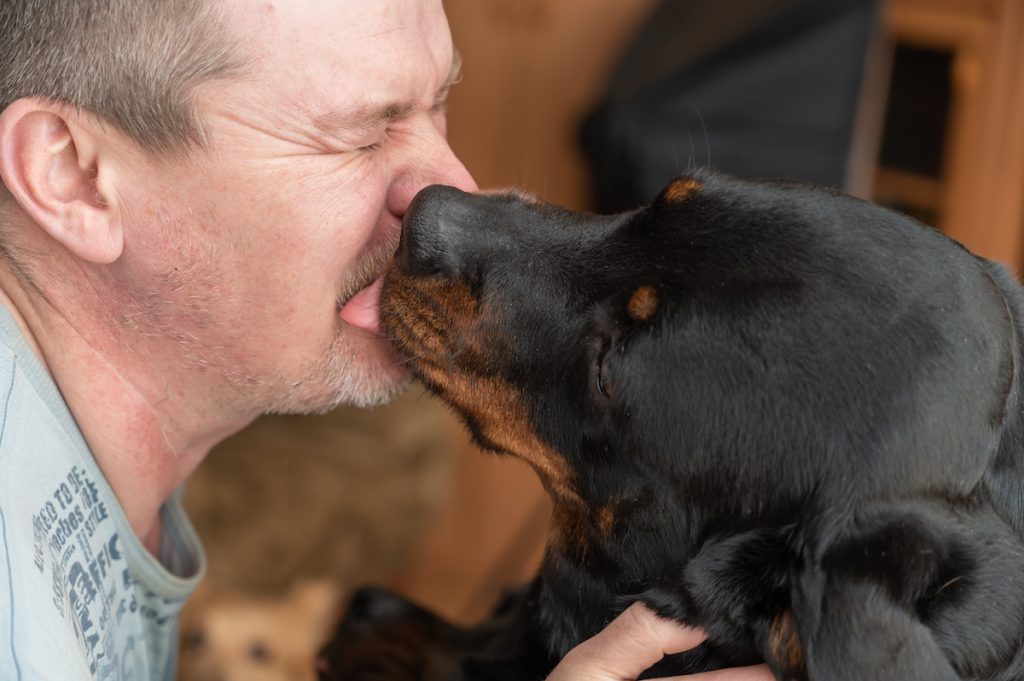 Det kan være farligt at “kysse” sin hund på munden, advarer ekspert