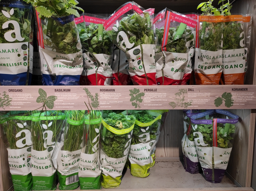Har du købt for mange krydderurter? Sådan får du dem til at overleve i haven