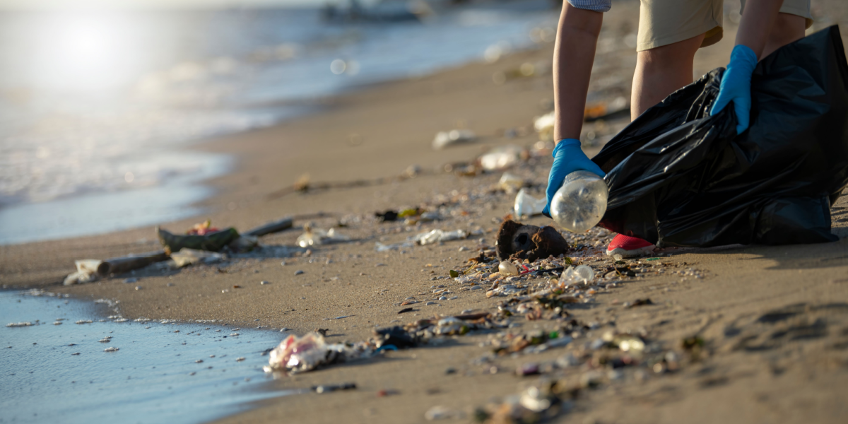 Vil du betale for at rydde op på stranden? Den mulighed får du her i Danmark