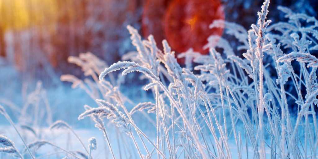 Brrr! -15 grader på vej til Danmark