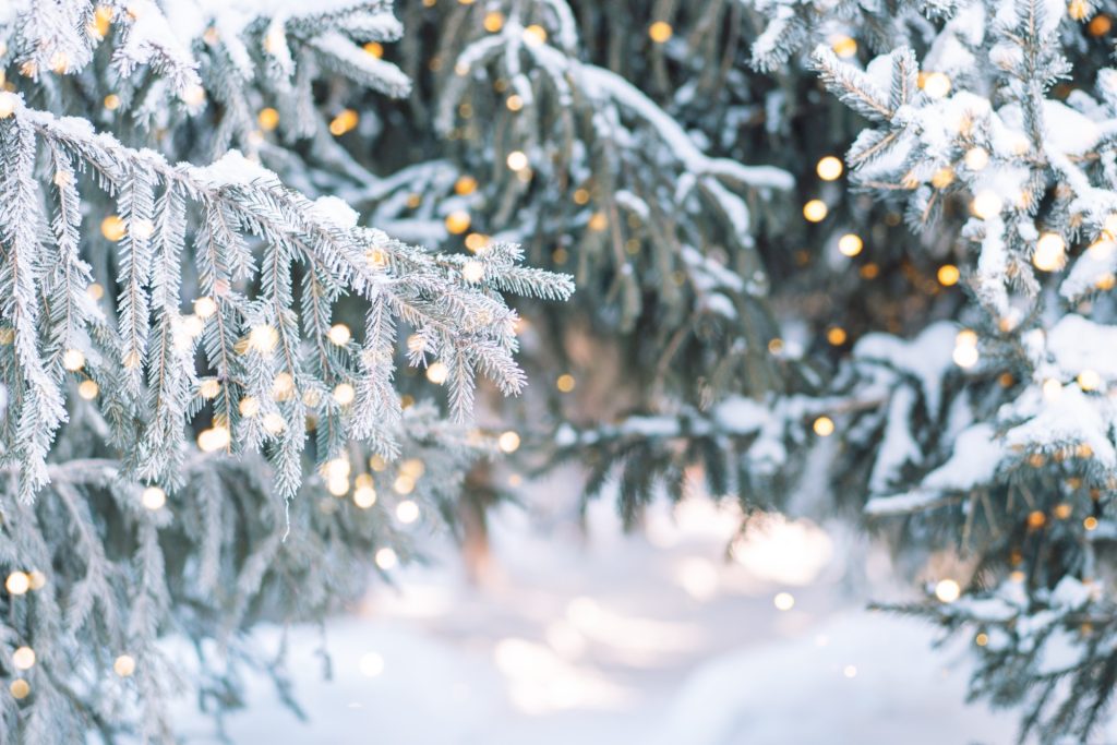 Får vi hvid jul i år? Sådan bliver vejret de kommende dage