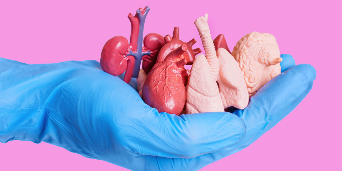 Har du taget stilling? Nyt partnerskab skal få danskerne til at forholde sig til organdonation