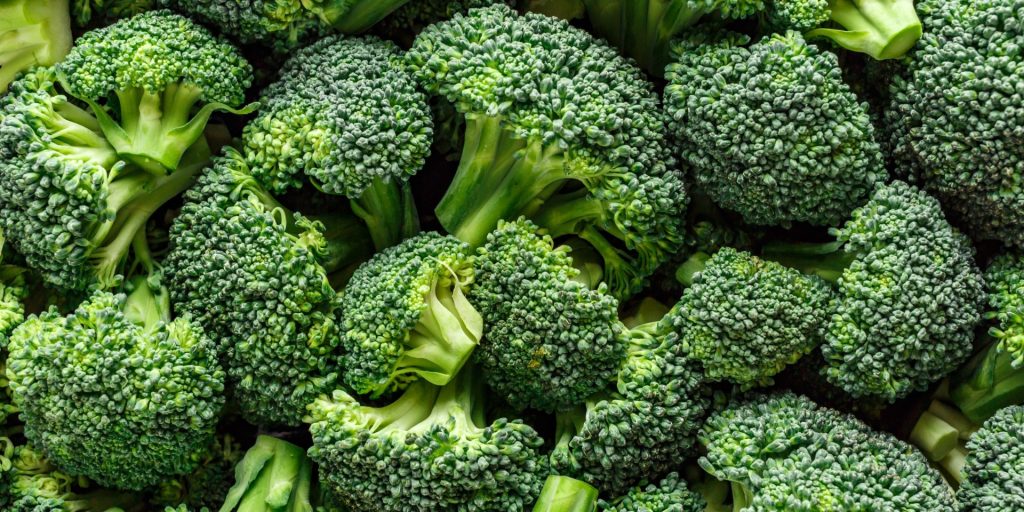 Broccoli kan holde sig op til et år, hvis du sørger for at opbevare det på denne måde
