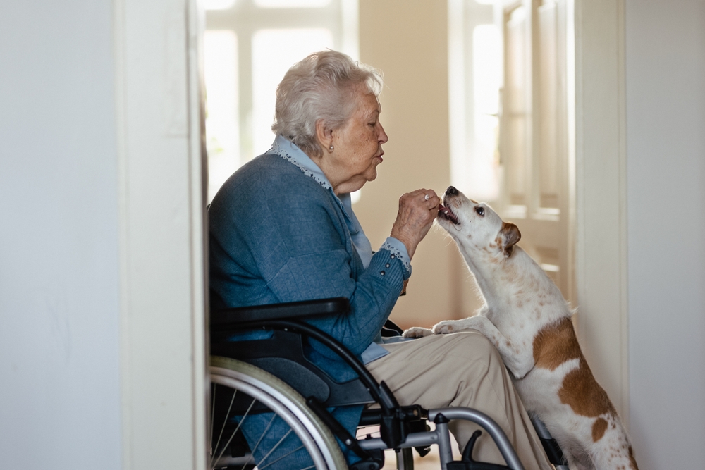 108-årig afslører: Hemmeligheden til et langt liv er ingen børn og masser af hunde