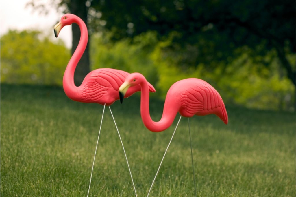 Chokerede campister: Dét betyder lyserøde flamingoer på campingpladser