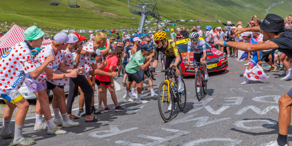 Finaleweekend: Så meget vinder Dansk Spils kunder, hvis Jonas Vingegaard vinder Tour de France