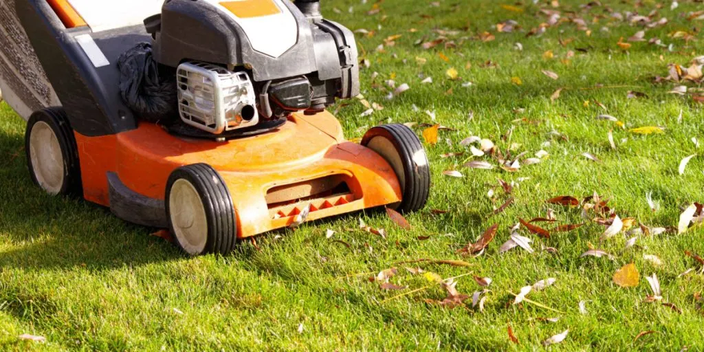Dette er den største fejl inden for plænepleje, du kan begå om vinteren, advarer gartner