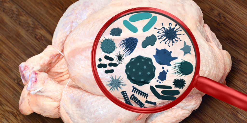 SSI advarer danskerne: 12 af 40 salmonellasmittede er blevet indlagt