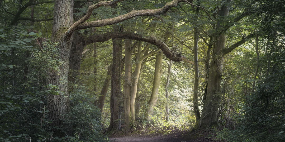 Hele næste uge er Naturens Uge: Skal du med?