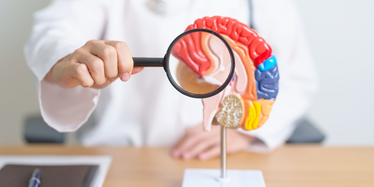 Mulig sensation: Forskere finder mulig måde at “omvende” Alzheimers