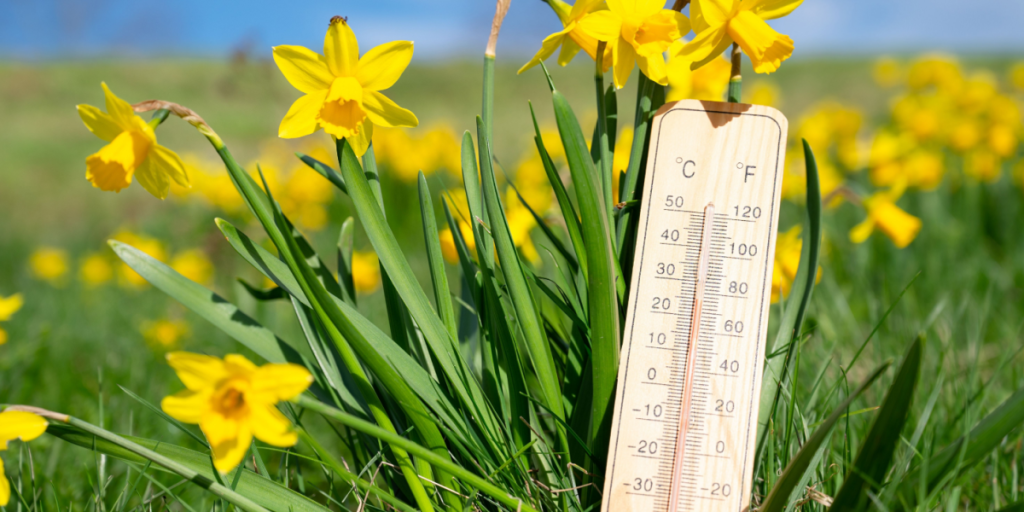 Efter sol kommer torden: Sådan bliver vejret frem til weekenden