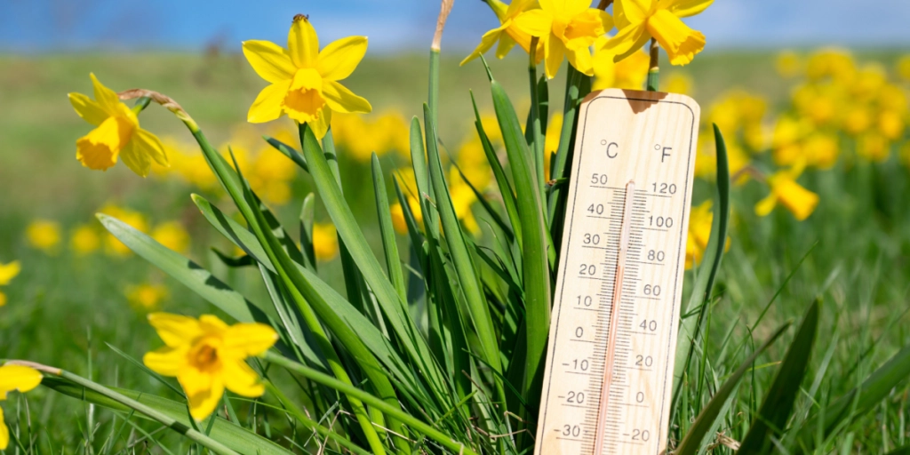 Efter sol kommer torden: Sådan bliver vejret frem til weekenden