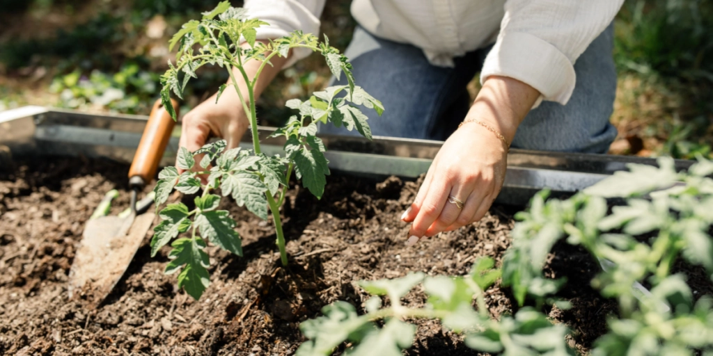 Ekspert advarer: Derfor bør du ikke plante blomster i juli