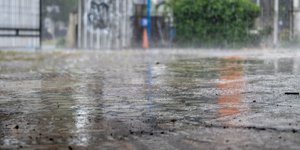 Masser af regn på vej: Sådan begrænser du skaderne