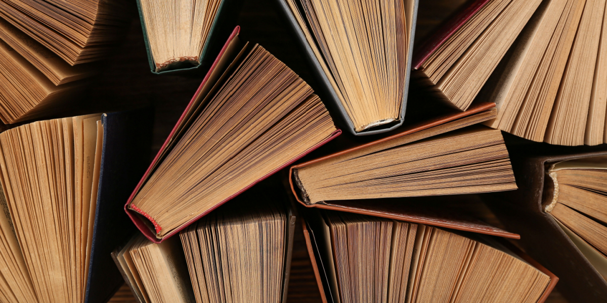Ikke nok kvindelige forfattere: Nu skal litteraturkanonen opdateres