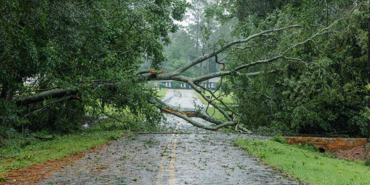 Vindstød af stormstyrke og kraftig regn: Her skal du gøre dig klar til voldsomt vejr