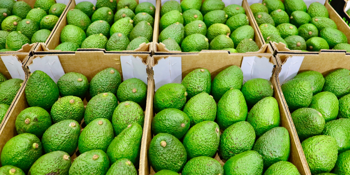 Coop tester ny maskine: Kan blive enden på umodne avocadoer