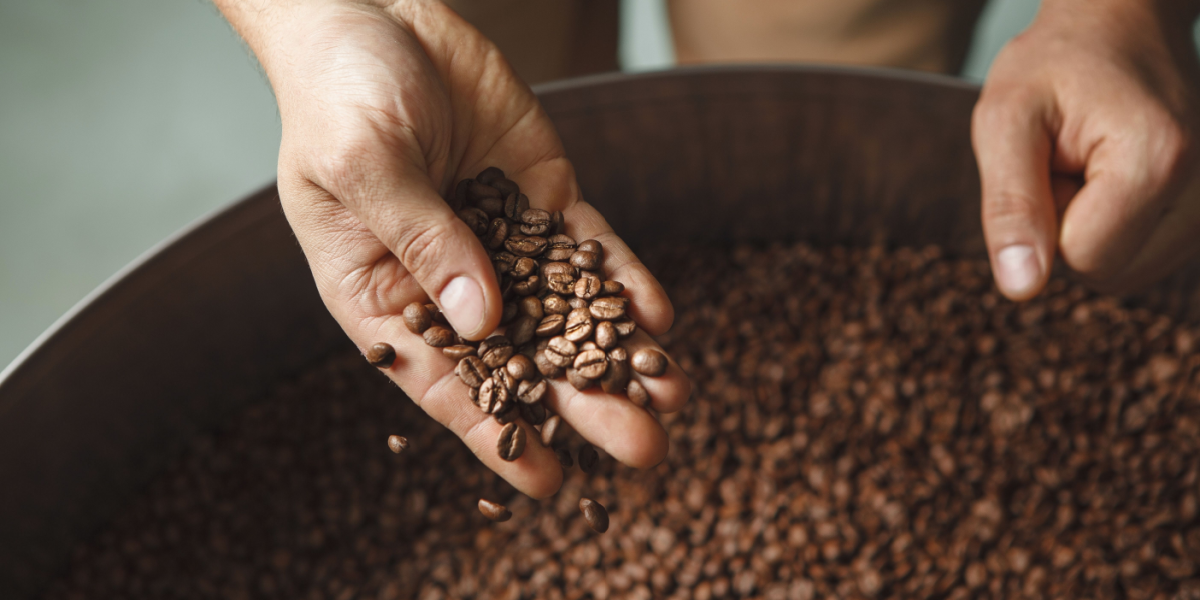 Højeste niveau siden 1977: Kaffepriserne nærmer sig rekord