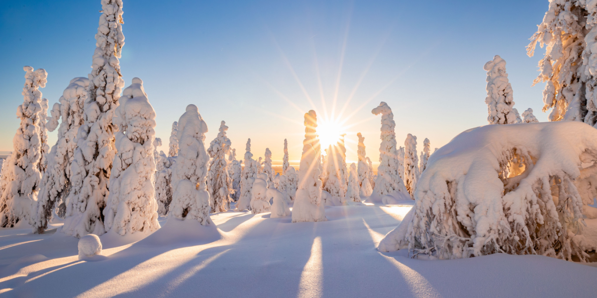 Genialt trick fra Finland: Sådan kan du slippe for at tænde for radiatorerne til vinter