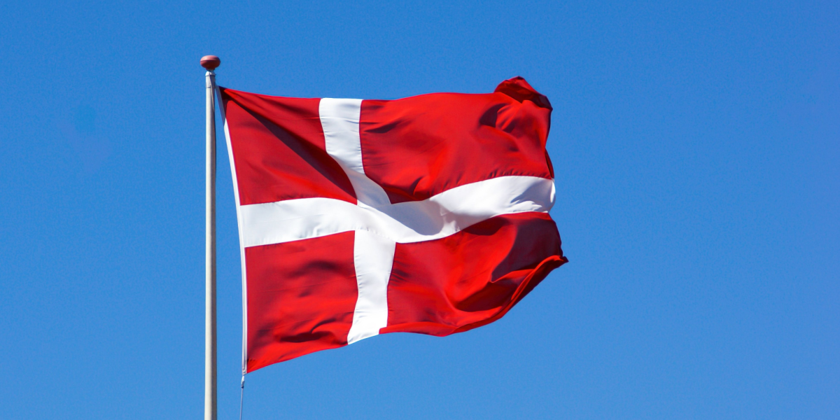 Ny lov fra nytår: Disse flag må du flage med fra d. 1. januar