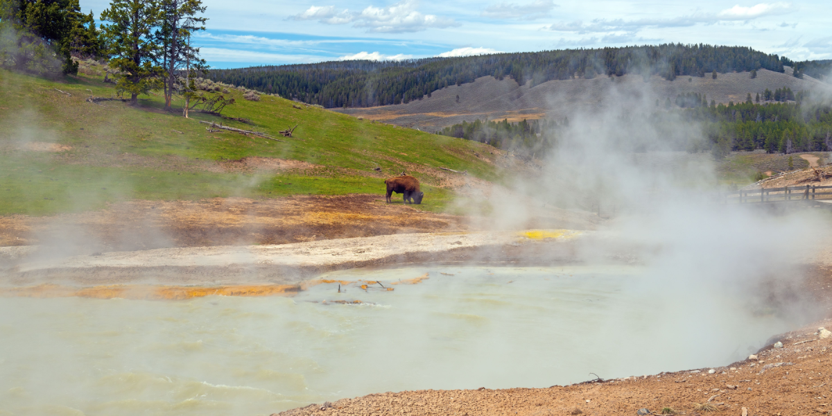 Naturpark er en supervulkan – hvad ville der ske, hvis Yellowstone gik i udbrud?
