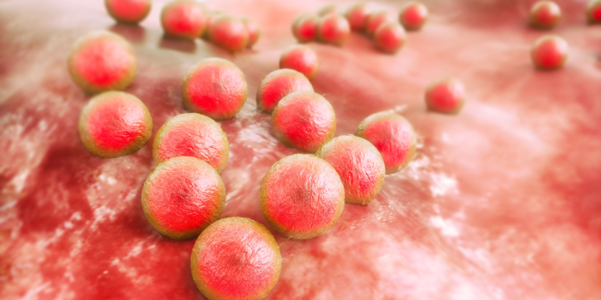 Forskere slår alarm: Vi kan ikke forudsige, hvordan antibiotikaresistens spredes i naturen