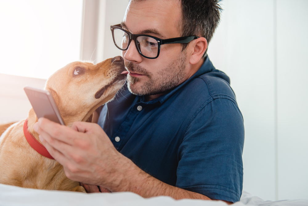 Sendte besked til ekskærestens hund: Så blev hun sendt i fængsel