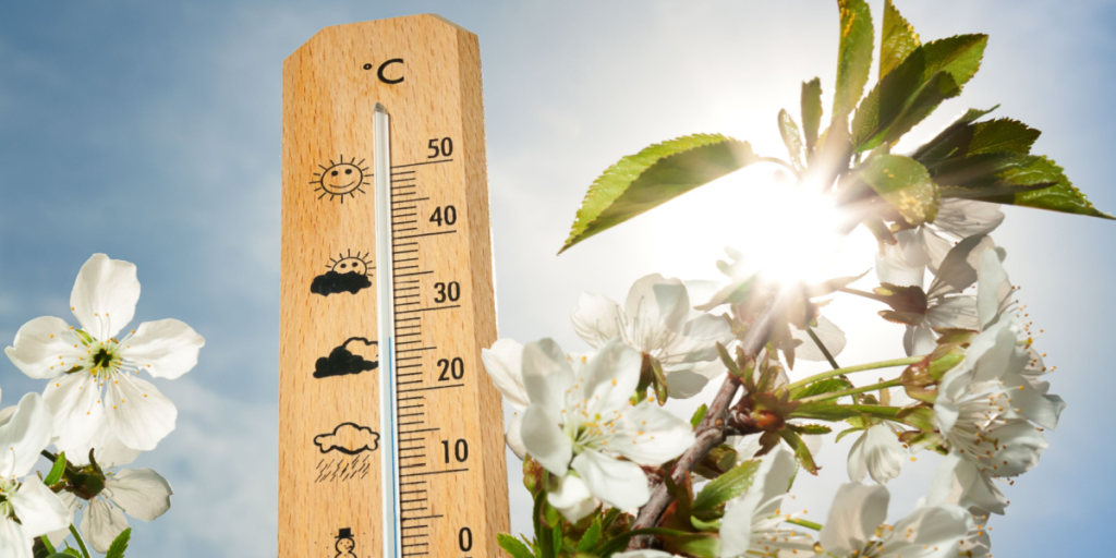 Tocifrede temperaturer i sigte: Sådan bliver vejret de næste dag