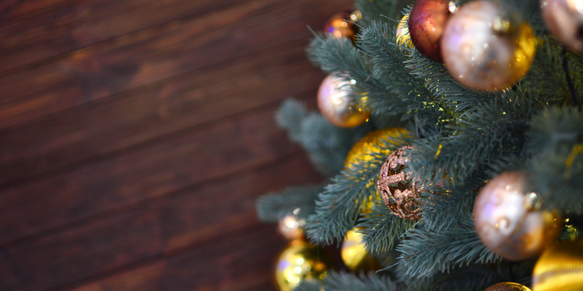 Årets vigtigste tradition: Ensomt juletræ søger gaver