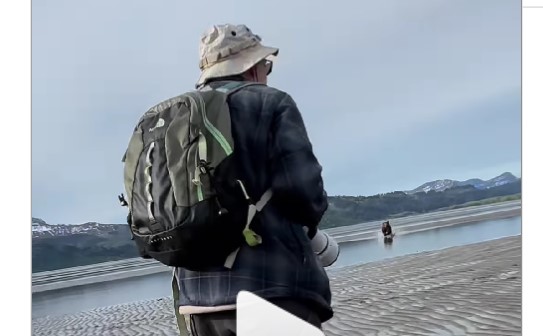 Bjørn stormede mod en gruppe turister – valgte farlig strategi