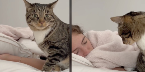 Video får millioner til at smile: Hvad ville du sige til at blive vækket på denne måde?