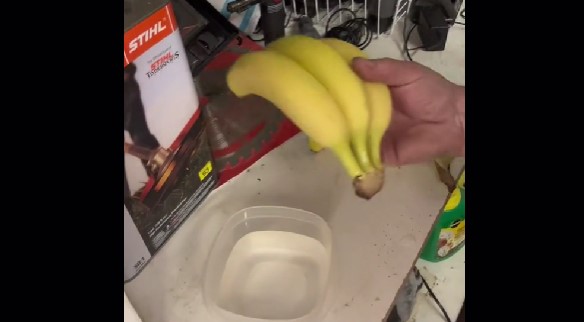 Sådan skal du opbevare bananer for, at de holder længst