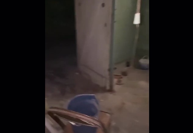 Hun kiggede i kælderen under sit nye hus: Så trådte hun ind i en gyserfilm