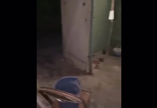 Hun kiggede i kælderen under sit nye hus: Så trådte hun ind i en gyserfilm