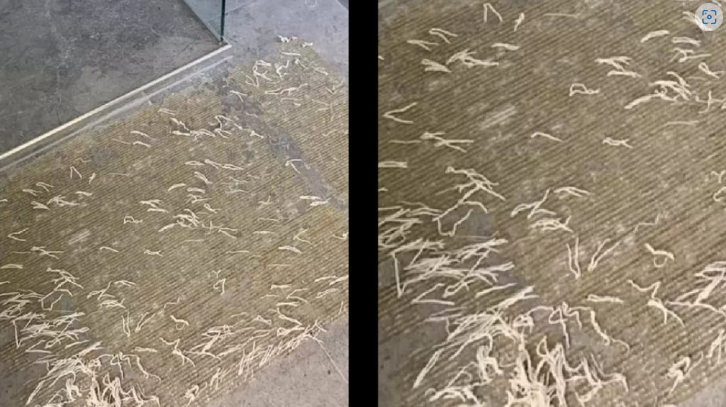 Flyttede bademåtten – nu beder hun internettet om hjælp