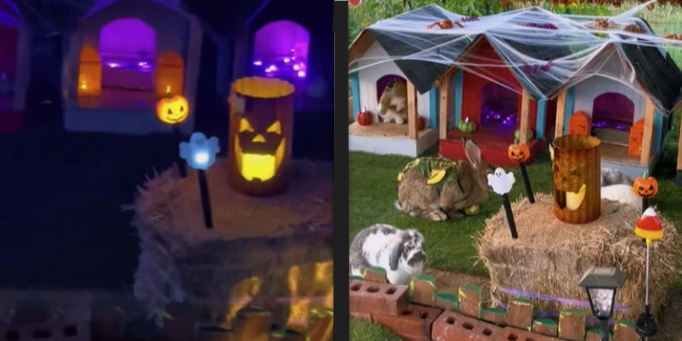 Se videoen: Er det her den sødeste Halloween-pynt nogensinde?