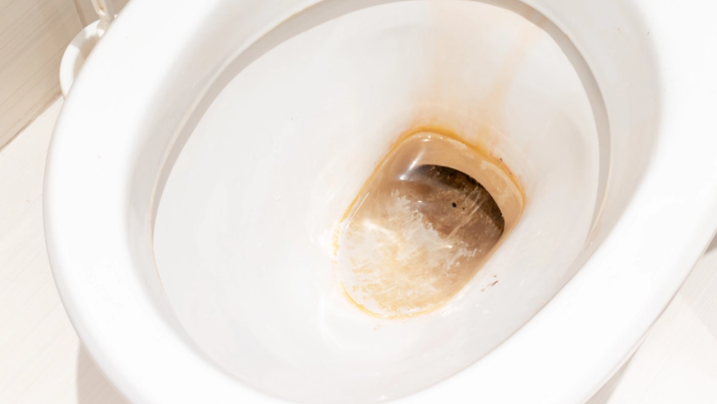 Virker på bare 1 time: Genialt trick fjerner kalk fra toilettet