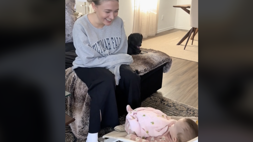 Jaloux gravhund går viralt: Sådan reagerer den på familiens nye baby